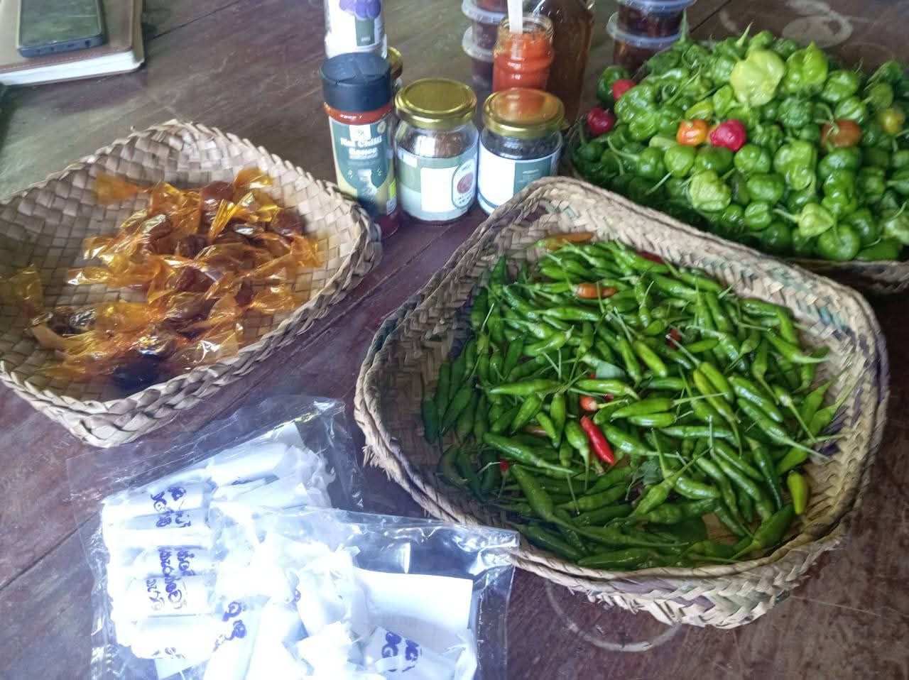 Seasonal vegetables and greens grown without chemicals